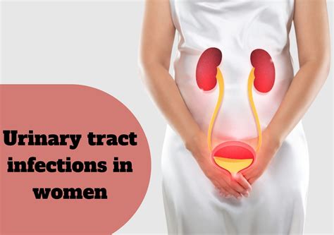 Understanding And Preventing Uti Urinary Tract Infections In Women Healthy Living Awareness