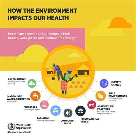 5 Major Environmental Health Problems Jli Blog