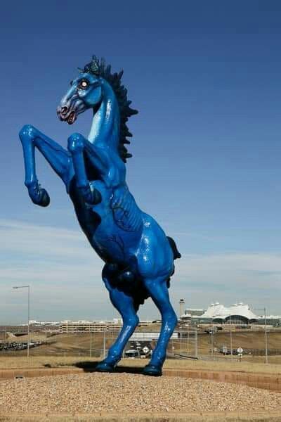 Pin By Barbara Stanley On Colorful Colorado Lion Sculpture Landmark