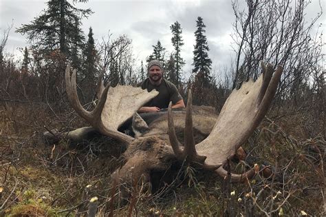 Alaska Self Guided Trophy Moose Hunts