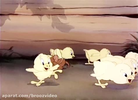 Tom And Jerry Cartoon Fine Feathered Friend 1942 Golden Collection