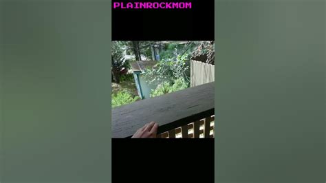 How Plainrock124 Was Born And Created Plainrock124 Shorts Youtube