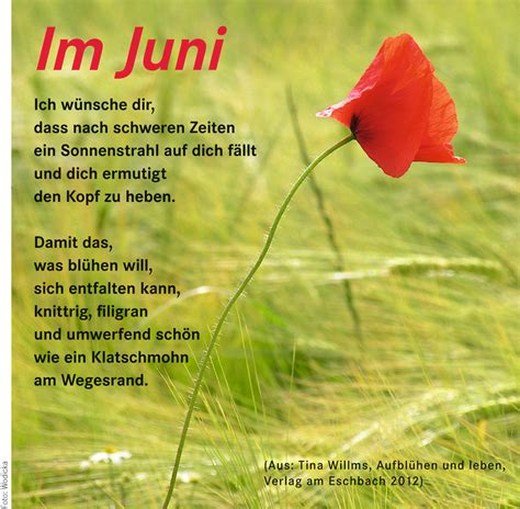 Weitere ideen zu lustige sprüche, sprüche, lustig. Im Juni - Kirchengemeinde Oldendorf