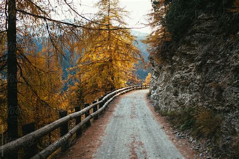 Dirt Road In The Mountains In Autumn By Stocksy Contributor Davide