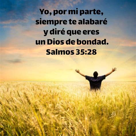 35 Versiculos Cortos De La Biblia Versiculos Biblicos Biblia Versiculos