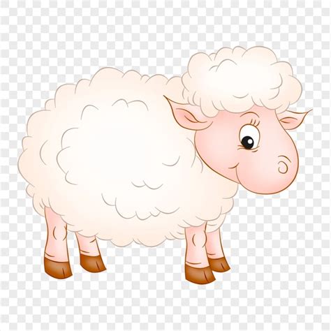 Sheep Lamb Illustration Cartoon Character Citypng