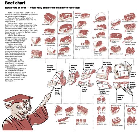 Printable Beef Cuts Chart Printable Blank World Vrogue Co