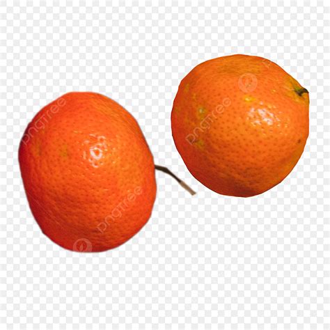 รูปsmall Oranges Yellow Orange Fruit Fruits Fruit Bowls Fruits Png