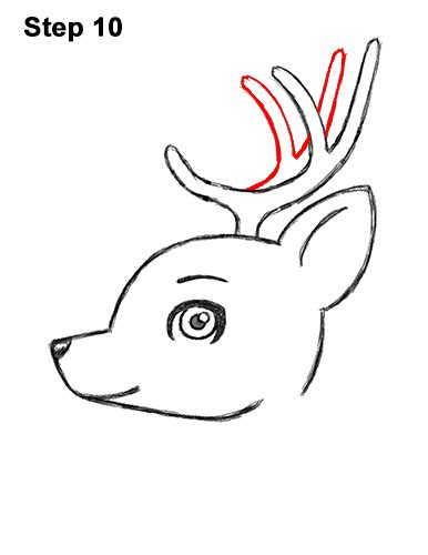 How To Draw A Deer Cartoon Video And Step By Step Pictures