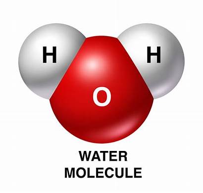 Water Molecule Polarity Cell Illustration Physiology Oxygen