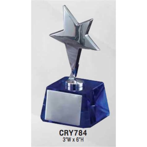 Star Awards Silver Star Award