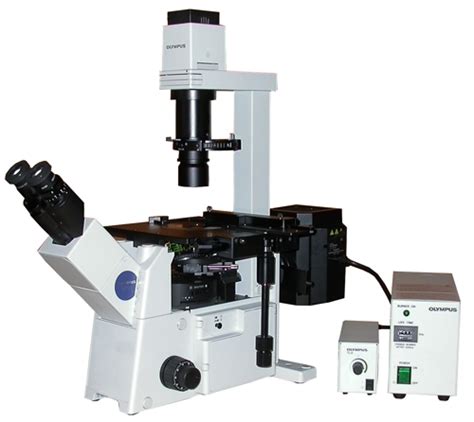 Olympus Ix51 Inverted Fluorescence And Phase Contrast Tissue Culture