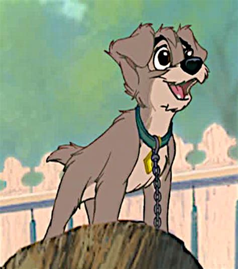 Scamp Disneys Lady And The Tramp Photo 40962985 Fanpop