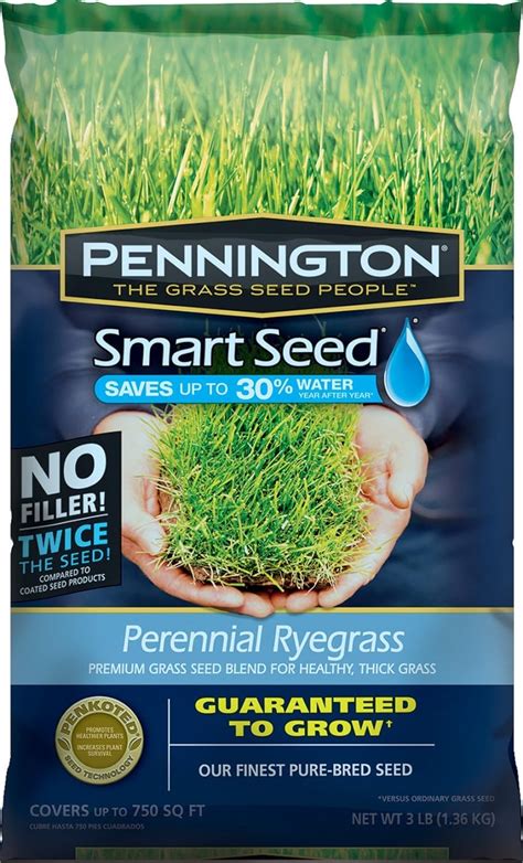 3 Lb Pennington 100526658 Smart Seed Perennial Ryegrass Premium Grass Seed