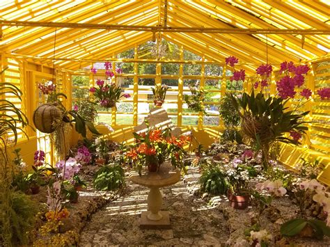 A Complete Guide To Orchid Care Bonnet House