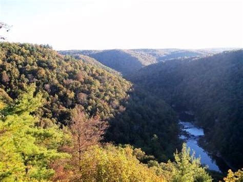 7 Short And Sweet Fall Hikes In Tennessee With A Spectacular End View