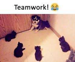 Teamwork Meme IdleMeme