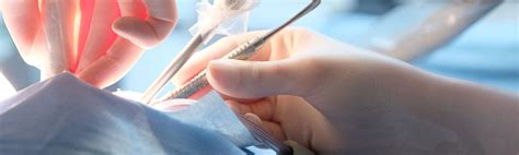 Maybe you would like to learn more about one of these? Our staff - Department of Dental Surgery - L-Università ta ...