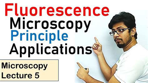Fluorescence Microscopy Principle And Working
