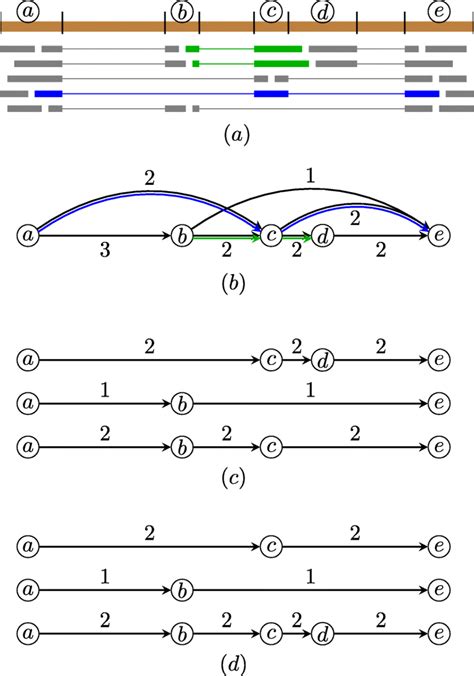 Example Of A Splice Graph By Representing Long Reads As Phasing Paths