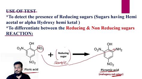 Picric Acid Test For Reducing Sugars Youtube