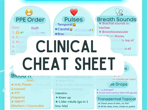 Clinical Sheet Clinical Cheat Sheet Med Surg Nurse Hospital Etsy