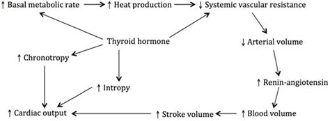 Thyroid Storm Endocrine Medbullets Step 1