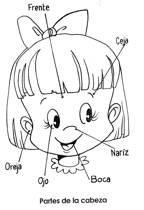 Partes De La Cara Para Niño Imagui