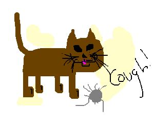 The cat in this video is coughing. grey Persian cat - Drawception