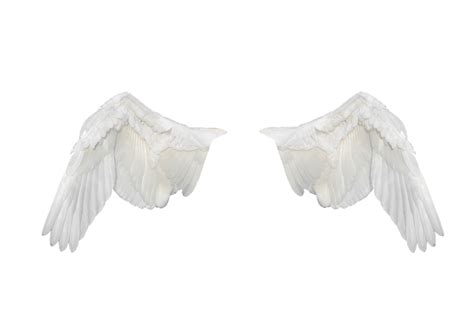 Free Illustration Wings Wings Ave Flight Fly Free Image On