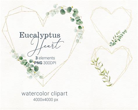 Eukalyptus Kranz Florale Herz Clipart Eukalyptus Clipart Etsyde