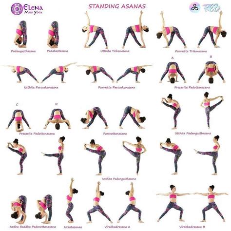 Ashtanga Yoga Primary Series For Beginners 👉 Get Your Free Yoga Videos