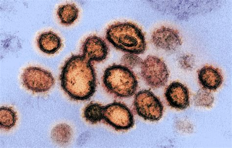 Coronavirus 101 What We Do — And Dont — Know About The Outbreak Of