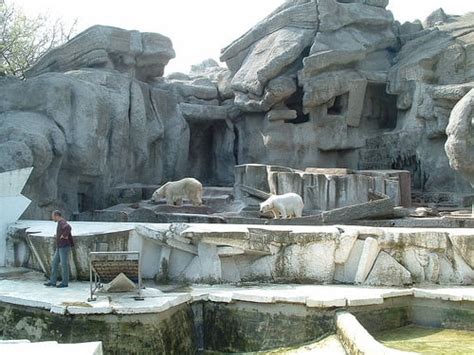 Zoo Guida Di Budapest