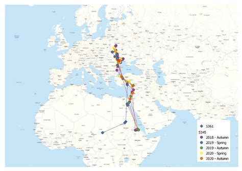 Black Stork Migration Routes According To Satellite Tracking