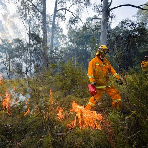 australian bushfires nasa images show third of kangaroo island burned world news sky news
