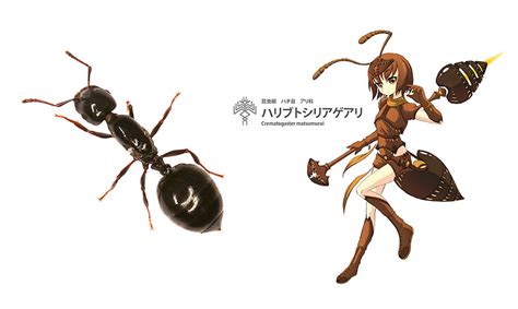Insect Art Arthropod Girls By Jun Kemono Friends Fanart Gil Wizen