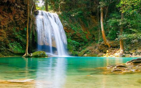 Nature Falls Pool With Turquoise Green Water Rock Coast Trees Hd