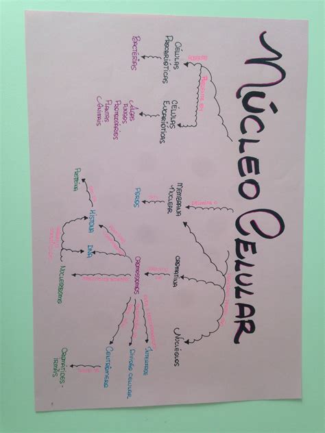 Mapa Mental Nucleo Celular