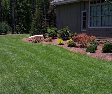 Empire zoysia performs will in extreme heat and humidity, making it a great option for a fact: ZOYSIA, ZENITH (420012) | East Texas Seed Company