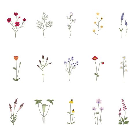 Illustration Of Wild Flowers Premium Vector Rawpixel