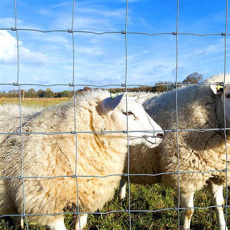 Grassland Field Fence