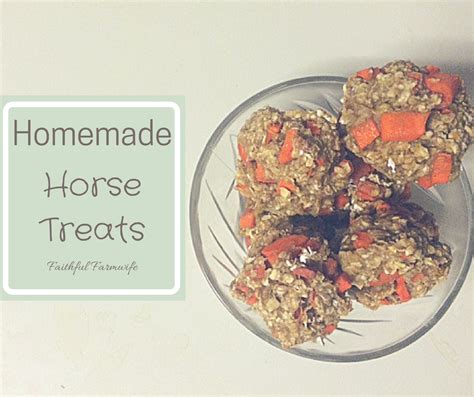 Homemade 5 Ingredient Horse Treats Do Your Horses Have A Sweet Tooth