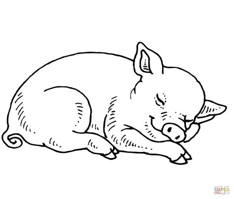 Various types of elephant pictures are used in the coloring pages, with some of them. Sleeping Baby Pig coloring page | Free Printable Coloring ...