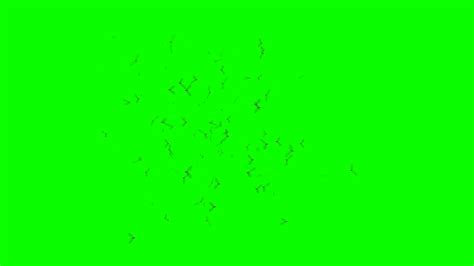 Green Screen Png 10 Free Cliparts Download Images On