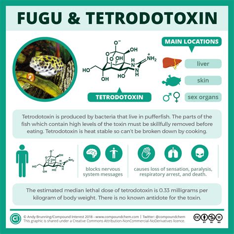 Fugu And Tetrodotoxin How The Pufferfish Can Kill Compound Interest