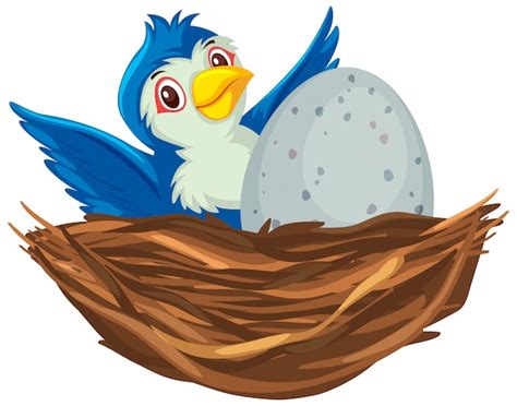 Premium Vector Blue Bird On The Nest