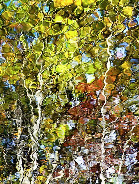 Abstract Photography Water Reflection Trees Print Nature Etsy
