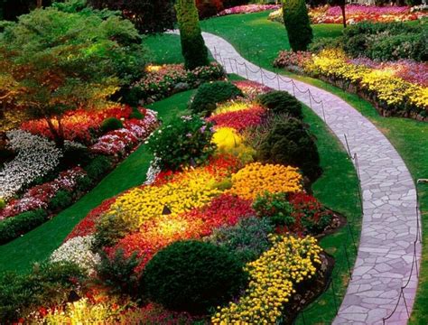 I Love The Mums In Fall Colour Blossoms Garden Landscape Design