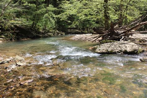 Own Your Own Beautiful Tennessee Creek Beautiful Creek Outdoor